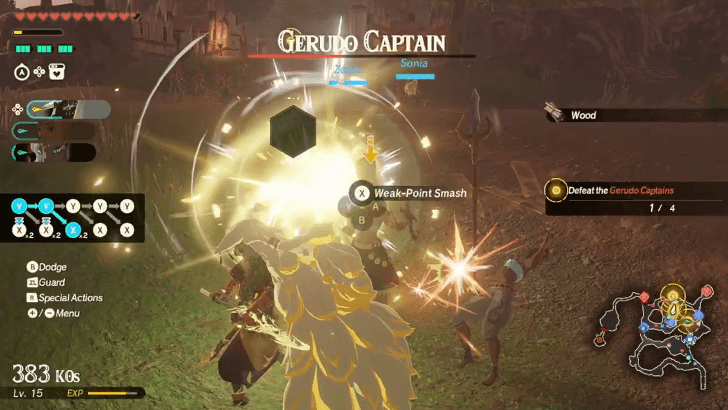 fighting the other Gerudo Captains