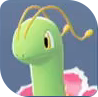 Meganium