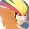 Pidgeot