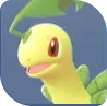 Bayleef Image