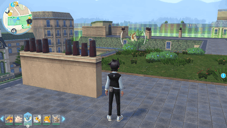 Pidgey Hunt Location