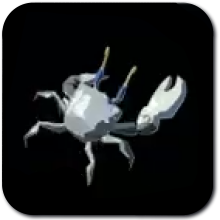 Bright-Eyed Crab Image