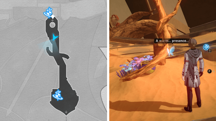 Honkai Star Rail - Memortis Shore Ruins of Time Nymph 4 Location