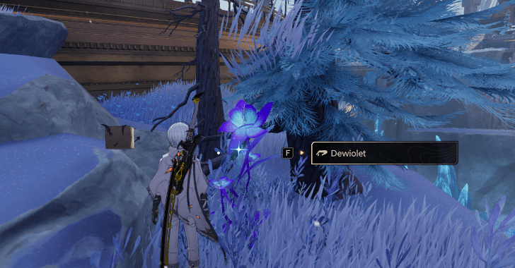 DNA How to Get Dewiolet