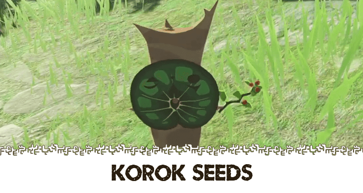 Hyrule Warriors Age of Imprisonment - All Korok Seed Locations