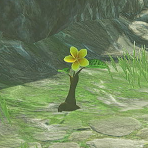 Korok Flower