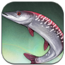 Spotted Tagalong Variant