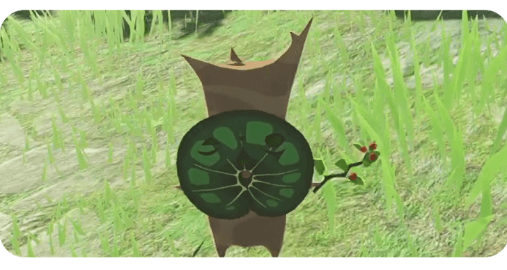 All Korok Seed Locations