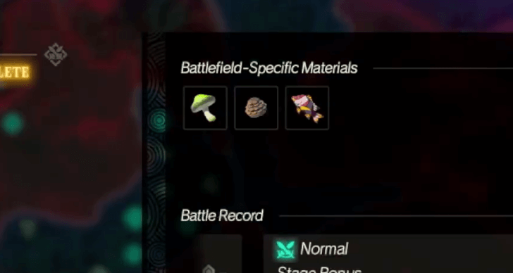 Hyrule Warriors Age of Imprisonment HtG Mushrooms 2