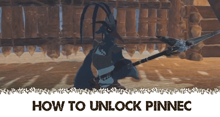 How to Unlock Pinnec