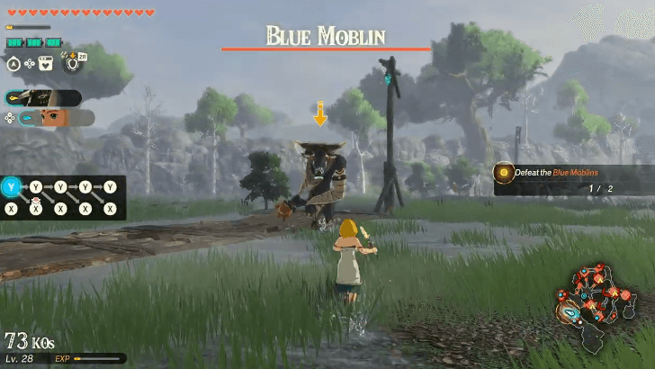 Blue Moblin at the start