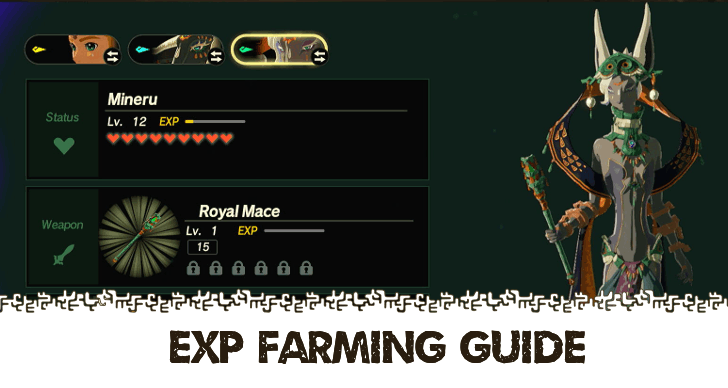 Hyrule Warriors Age of Imprisonment - EXP Farming Guide