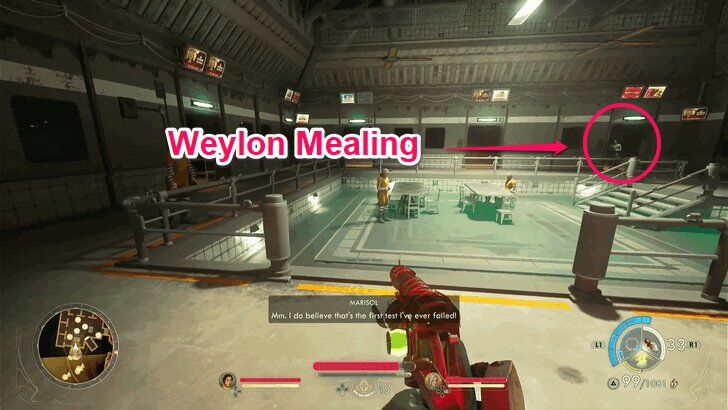 Weylon