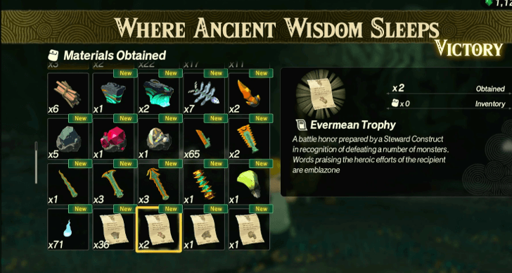 Hyrule Warriors Age of Imprisonment Obtained After Defeating Enemies Repeatedly