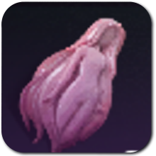 Once Human - Transformation Cookie By the Wind