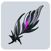 Black Wing Set Imagination