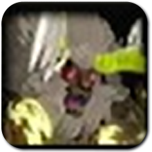 Hyrule Warriors Age of Imprisonment - Electric Lynel