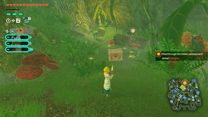Treasure Chest Overworld Location