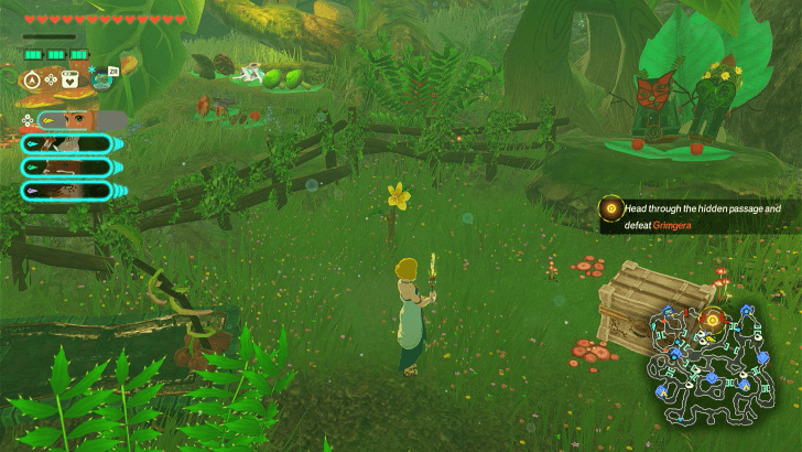 Korok Seed Overworld Location