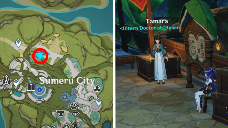 Genshin - Ruins Exploration Character Locations Day 1 - Layla