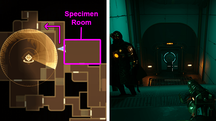 20 - To Critter Catcher Locker