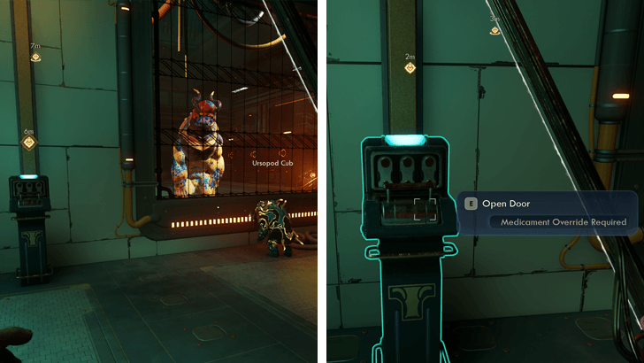 30 - Reuniting the Cub and Its Mother