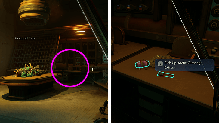 27 - Arcitc Ginseng Extract