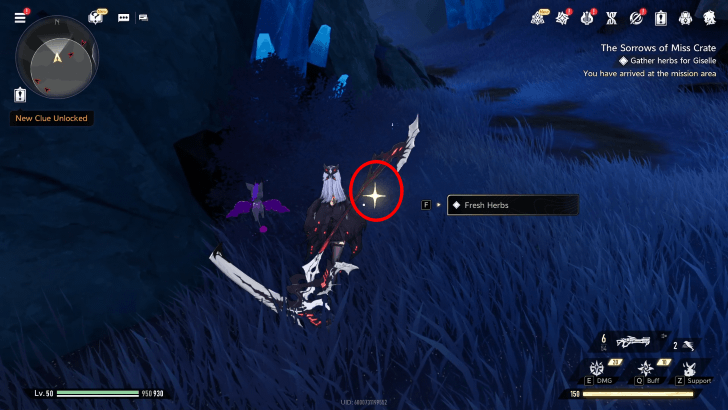 Duet Night Abyss The Sorrows of Miss Crate Fresh Herbs 2