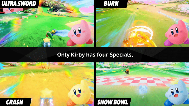 Kirby is the Only Special Rider