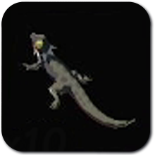 Fireproof Lizard Image
