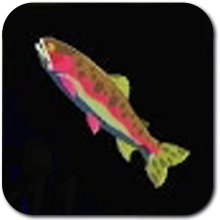 Sizzlefin Trout Image