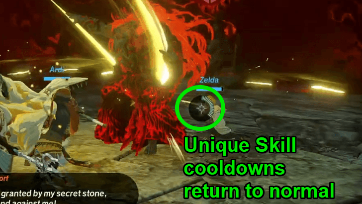 Unique Skill cooldown