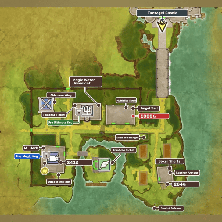 Tantegel Map and Treasure Chests