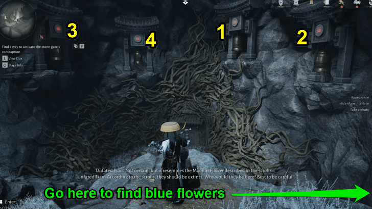 WWM - Open the Stone Door