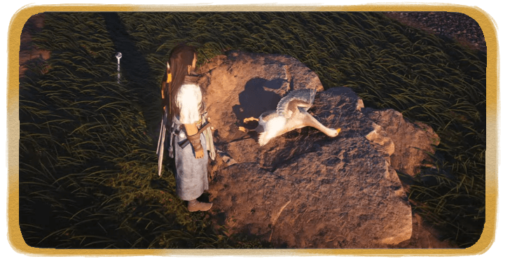 WWM - To Heal or Not to Heal