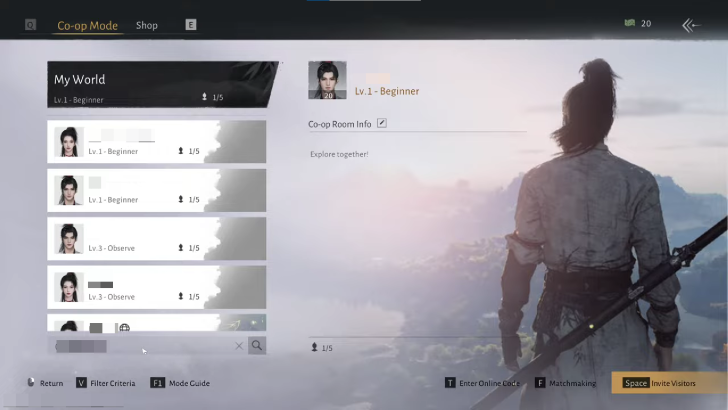 Type in Player Credentials