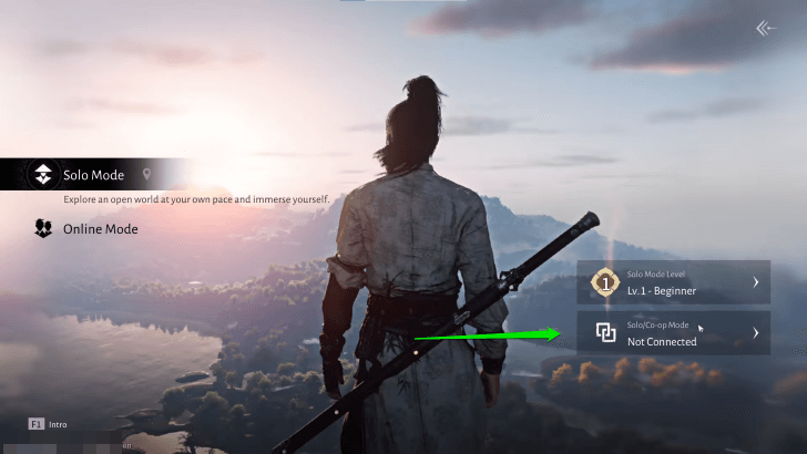 Opt for Co-op Mode in Solo Mode