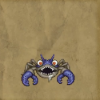 Handsome Crab
