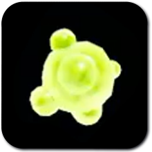 Yellow Chuchu Jelly Image