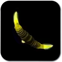 Age of Imprisonment Electric Moblin Horn