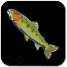 Voltfin Trout Image