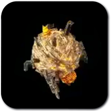 Age of Imprisonment Fire Hinox Horn