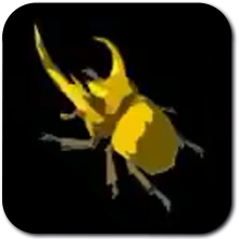 Energetic Rhino Beetle Image