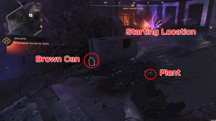 First Plant and Brown Can