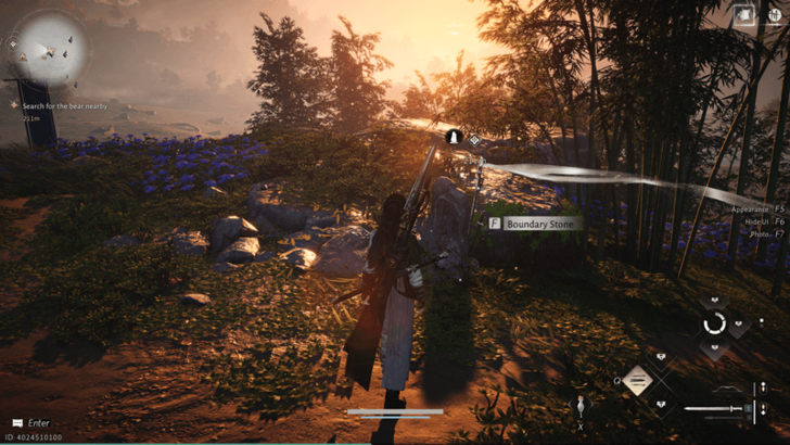 Northern Bamboo Grove