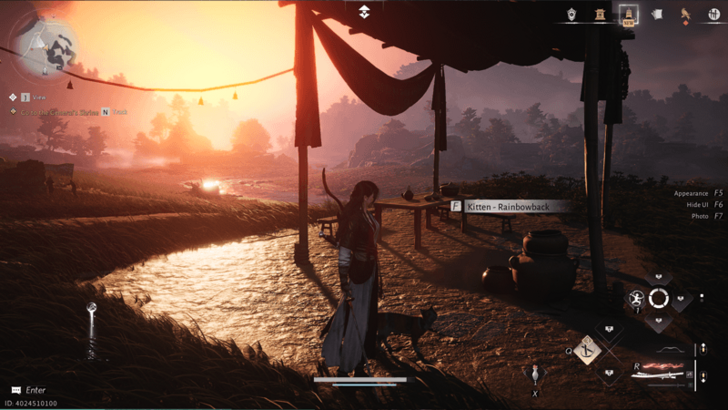 Kitten - Rainbowback