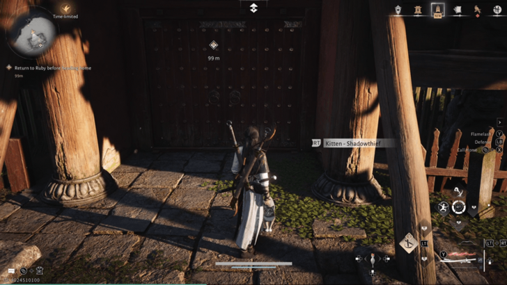 Kitten - Shadowthief