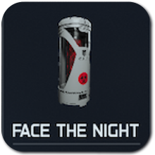 Face the Night