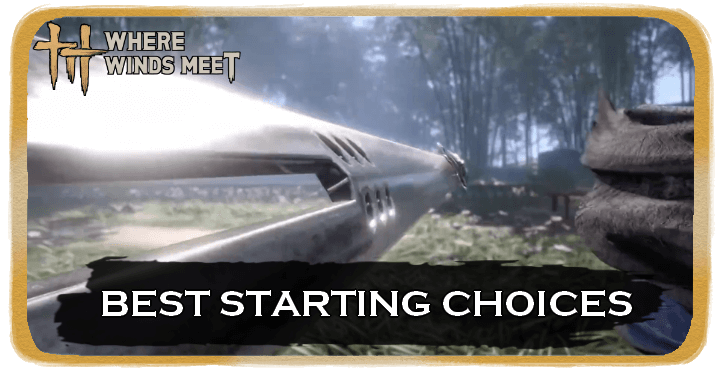 Best Starting Choices.png
