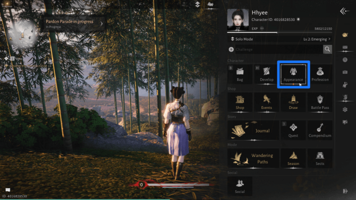 Going to the Appearance Menu